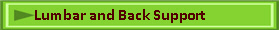 Lumbar and Back Support